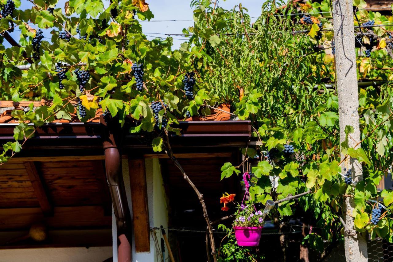 Къща Лиляна Villa Resilovo Eksteriør bilde