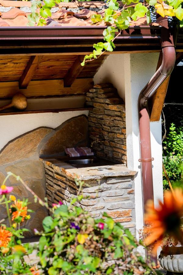 Къща Лиляна Villa Resilovo Eksteriør bilde